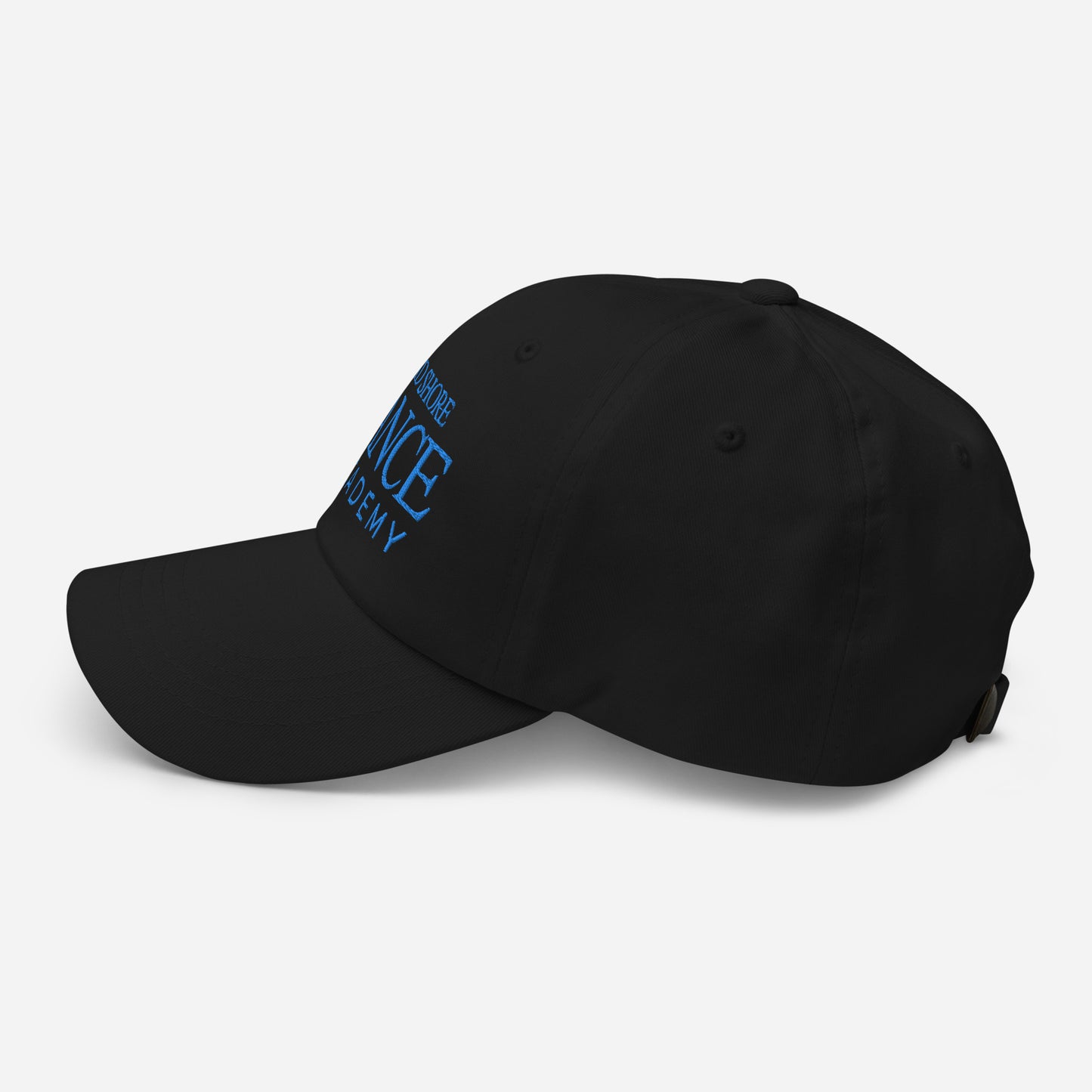 MSDA embroidered Dad hat