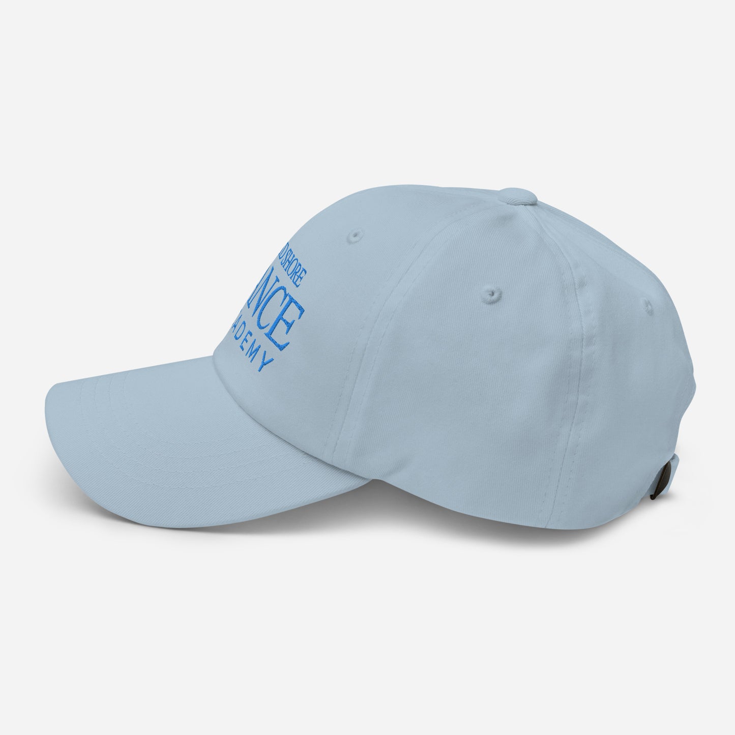 MSDA embroidered Dad hat