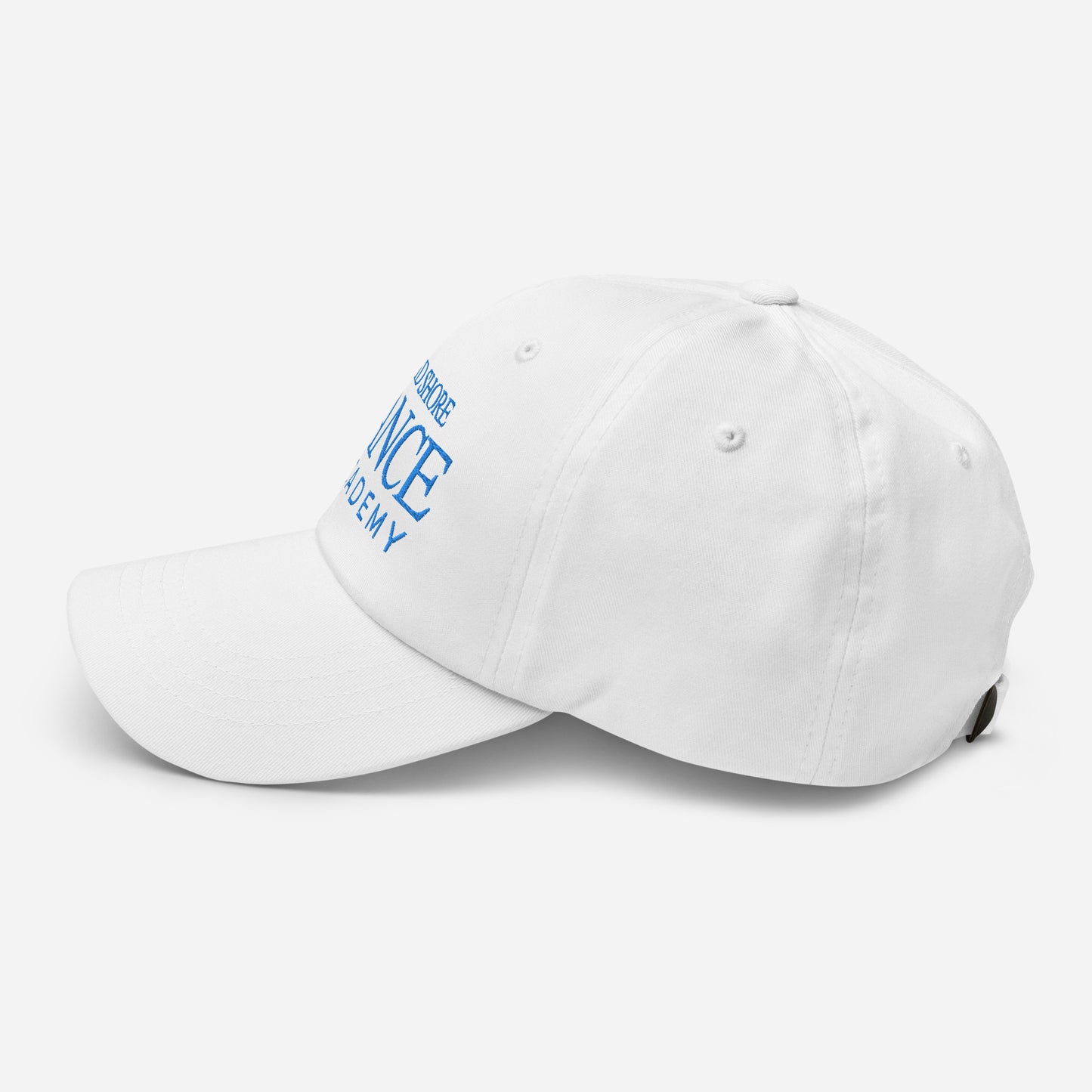 MSDA embroidered Dad hat