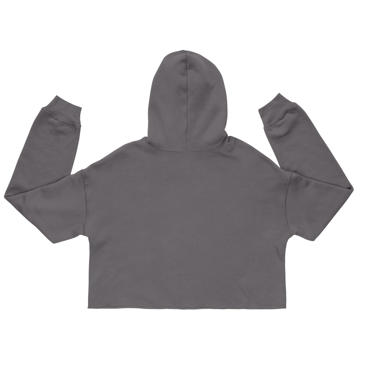 S2S Crop Hoodie