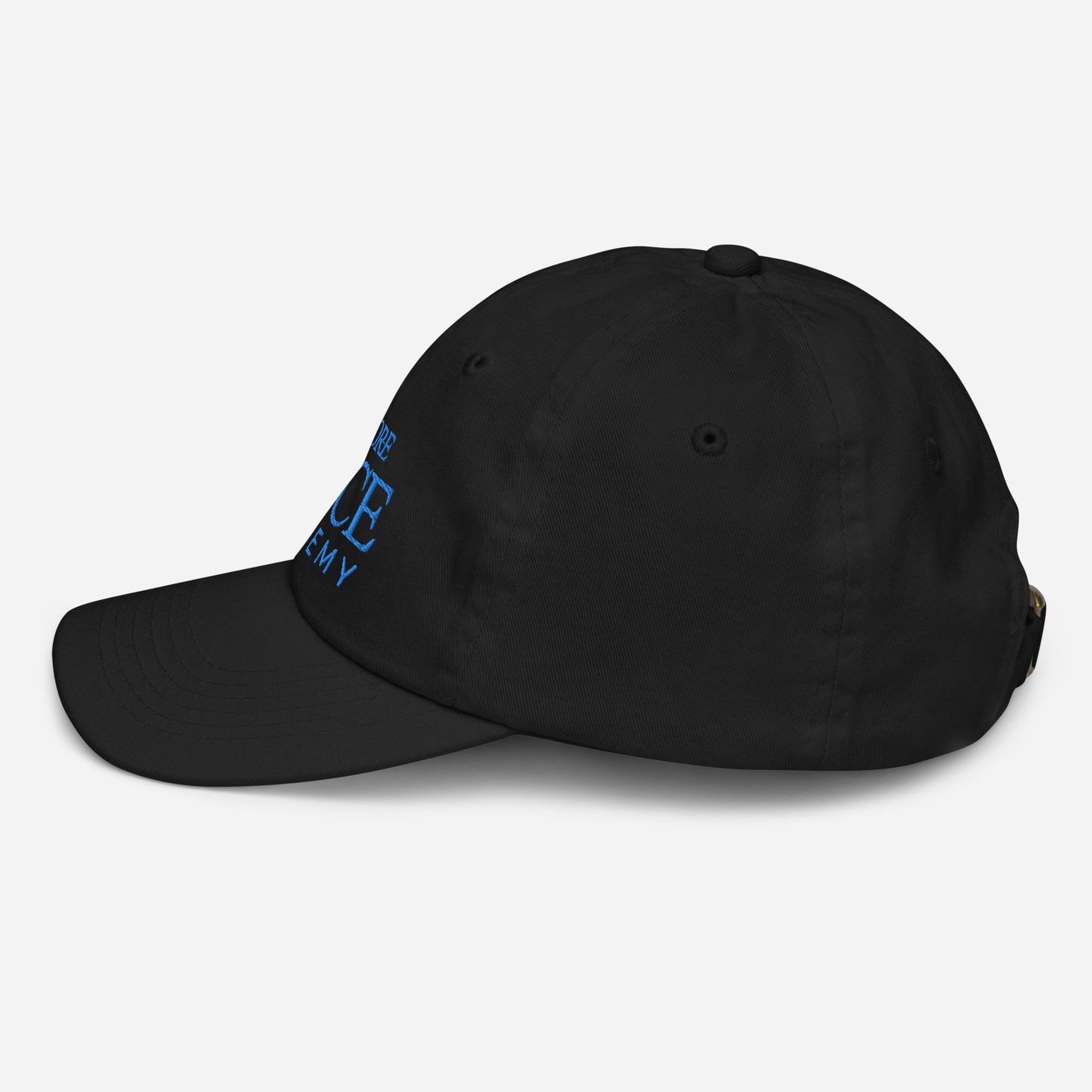 MSDA embroidered Youth baseball cap