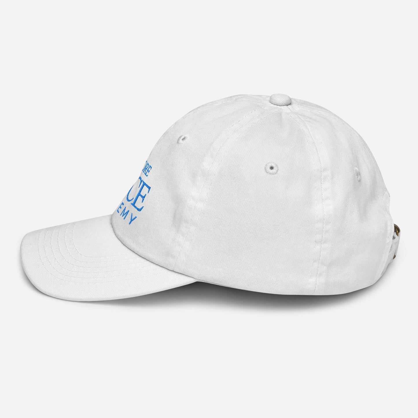 MSDA embroidered Youth baseball cap